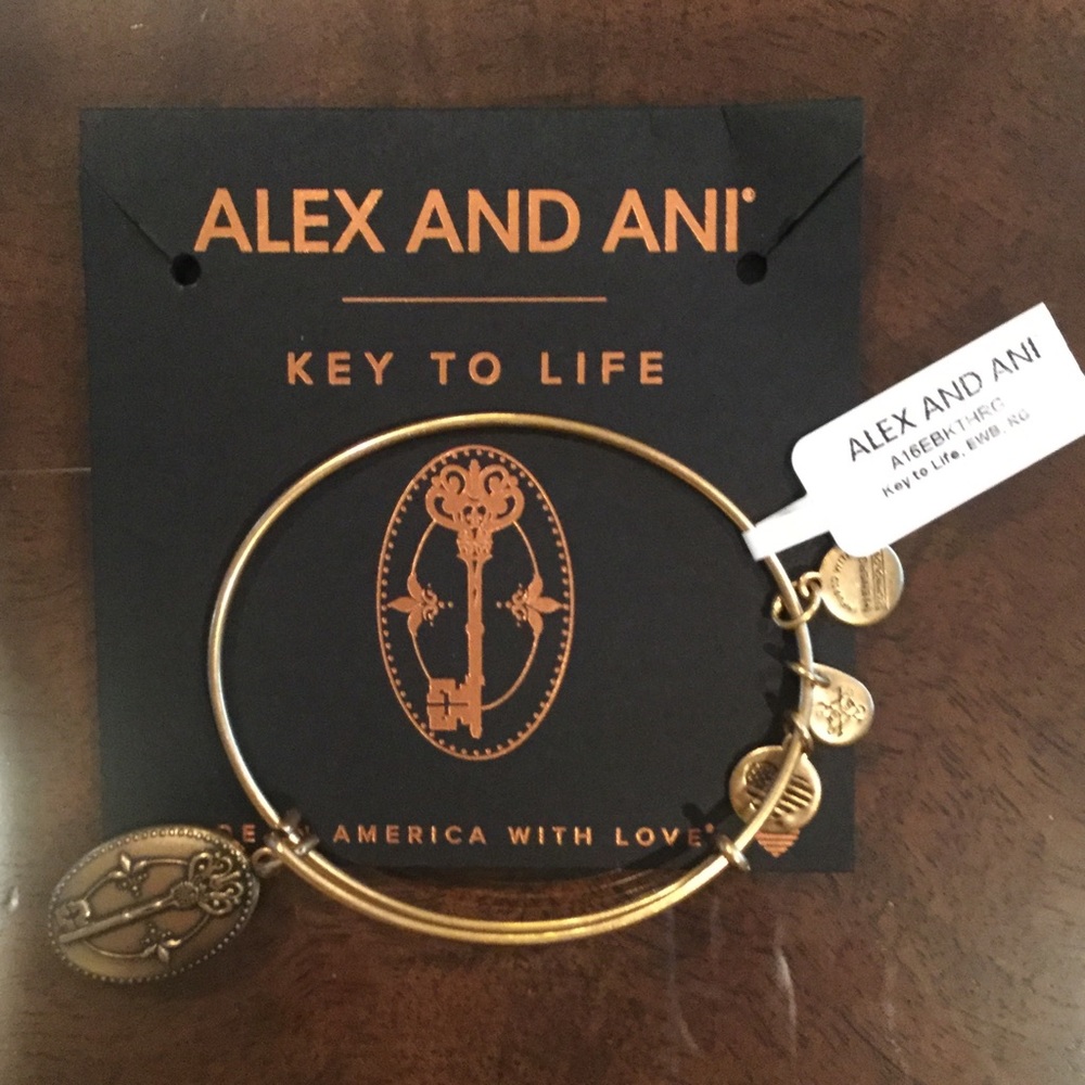NWT Alex and Ani Key to Life Charm Bangle Bracelet